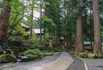 白山比咩神社おついたち参り＆永平寺座禅体験ツアー ～白山比咩神社・永平寺・平泉寺白山神社～2