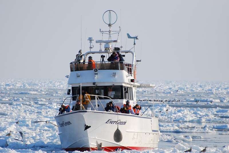 【伊丹空港発着】 紋別・網走・羅臼　3つの流氷クルーズで感動体験！さいはてオホーツク氷平線の旅４日間3