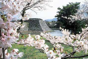 【岩国・玖珂発】 萩八景お花見遊覧と山口３つの桜めぐり　日帰り1