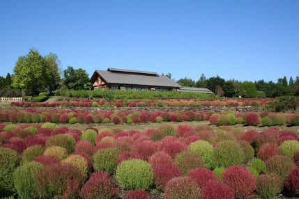 【岩手県内発】 国営みちのく杜の湖畔公園と松島洗心庵で三陸海の幸膳の昼食　日帰り