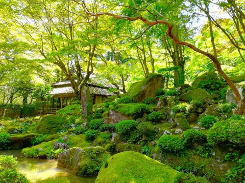 【名古屋発】春の一般公開！美しい苔の教林坊＆たねやの新施設「LAGO大津」＆ LAGOクルーズ＆スカイテラス伊吹山＆飛騨牛・近江牛すき焼きランチ1