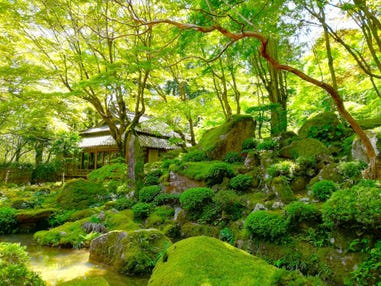 【名古屋発】春の一般公開！美しい苔の教林坊＆たねやの新施設「LAGO大津」＆ LAGOクルーズ＆スカイテラス伊吹山＆飛騨牛・近江牛すき焼きランチ