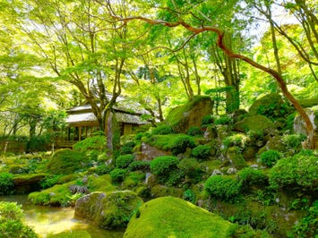 【名古屋発】春の一般公開！美しい苔の教林坊＆たねやの新施設「LAGO大津」＆ LAGOクルーズ＆スカイテラス伊吹山＆飛騨牛・近江牛すき焼きランチ