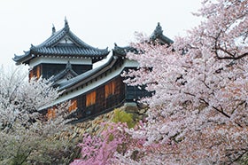 姫路・加古川　発
豊臣兄弟ゆかりの地　大和郡山大河ドラマ館と郡山城跡1