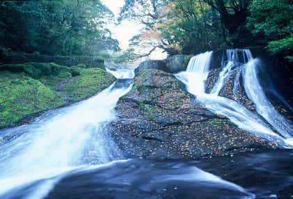 【行橋・苅田・下曽根発】 ４つの果物＆野菜のお持ち帰り！夏の涼景が彩る熊本どぎゃん祭　日帰り　