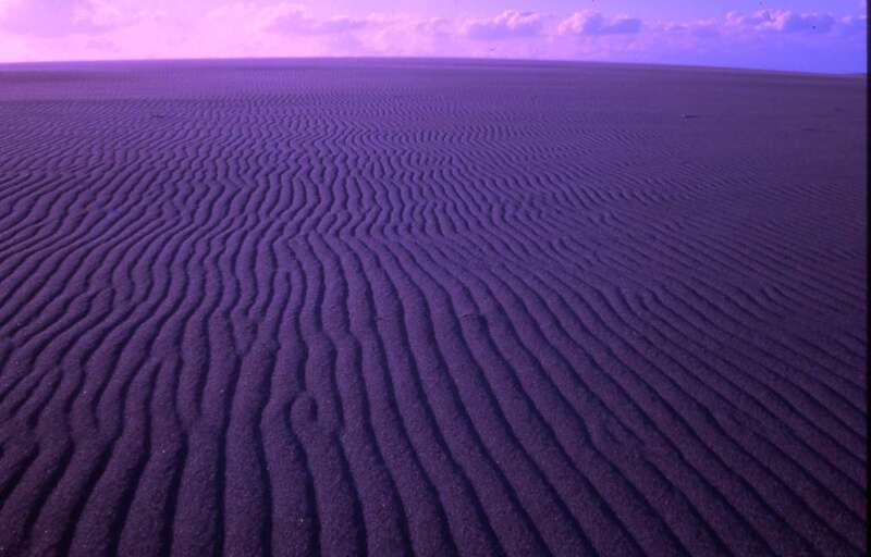 【岩手県・新幹線駅（盛岡駅～一ノ関駅）発】 日本唯一　アプト式列車大井川鐵道　絶景秘境　奥大井湖上駅 富士山の絶景　駿河湾クルーズ 3日間2