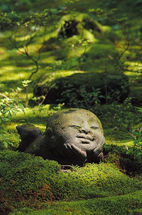 山城国の仏像巡り第6回 大原に佇む仏達2