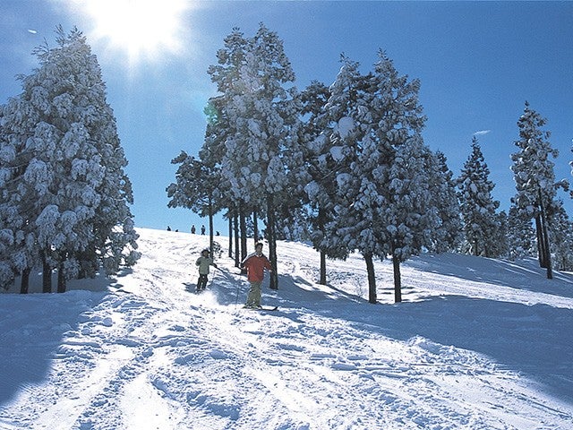 ■●夜発日帰り 上越国際スキー場1