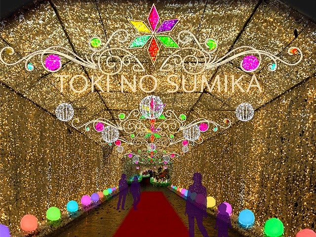 ■【静岡】瞳輝く思い出旅♪富士サファリパーク＆「麦畑」夕食バイキング食べ飲み放題×時乃栖イルミネーション☆3