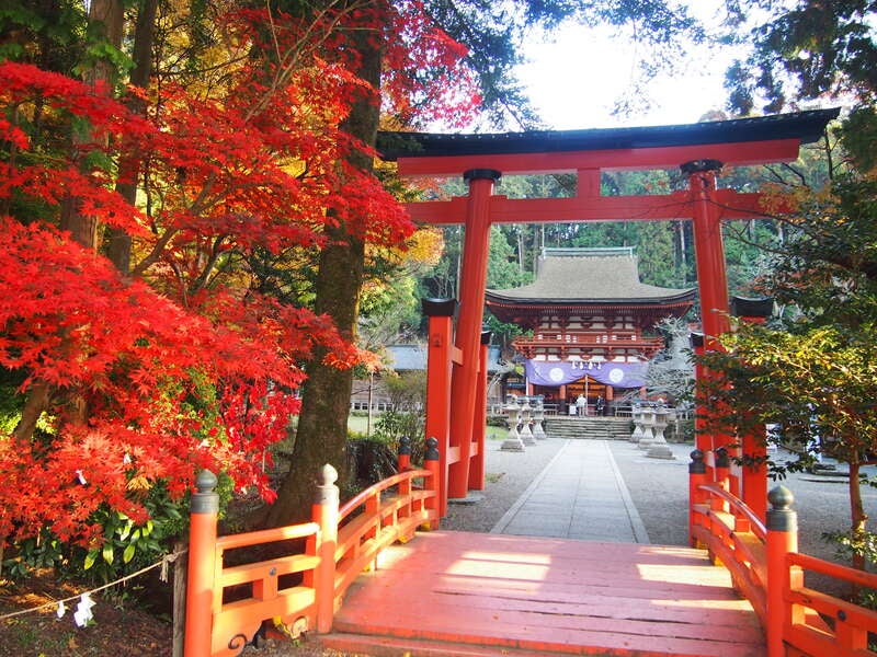 【兵庫県内発】 秋の世界遺産高野山紅葉めぐりと秋の味覚 焼き松茸を含む松茸づくしの高野花籠膳　日帰り1