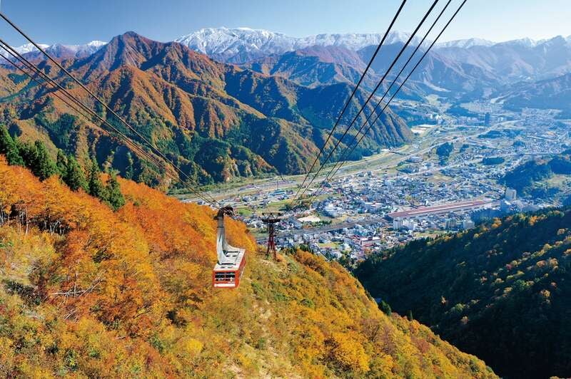 【栃木県内発】 長岡花火ハロウィンファンタジーと紅葉名所めぐり２日間3