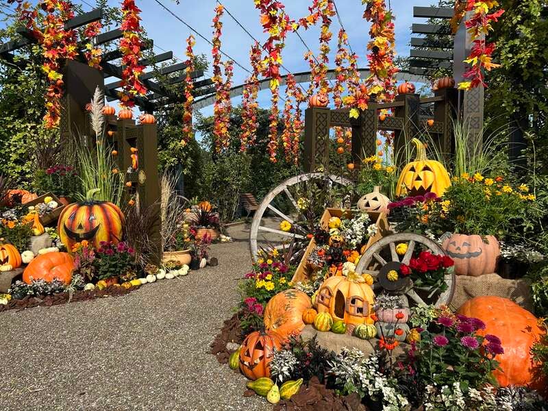 【富山県内発】 秋バラとハロウィン・ハーベストin国営越後丘陵公園 と  ホテルニューオータニ長岡の優雅に選べるメイン料理付ランチビュッフェ　日帰り2