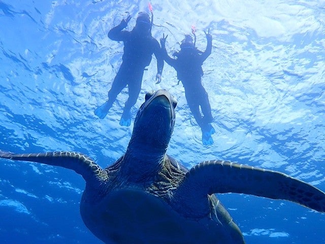 ■【PM出発/青の洞窟シュノーケリング＆洞窟探検付】石垣島の美しく透き通った海を全身で感じる半日シュノーケリング体験プラン！石垣島・竹富島・西表島ホテルチョイスプラン3泊4日2