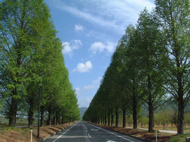 【高知県内発】 グランドメルキュール琵琶湖リゾート＆スパに泊まる！豊臣家ゆかりの地・長浜と琵琶湖５つの涼景めぐり ２日間3