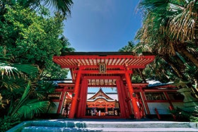 神戸空港　発
№2866 南国リゾート宮崎日南の旅3