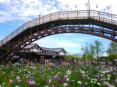 ■【茨城】いばらき満喫旅♪どど～んと「メロン1玉お土産×半玉メロン試食」＆森の中の迎賓館「水戸プラザホテル」で和食ランチ＆初夏を彩る100万株の「水郷潮来あやめまつり」