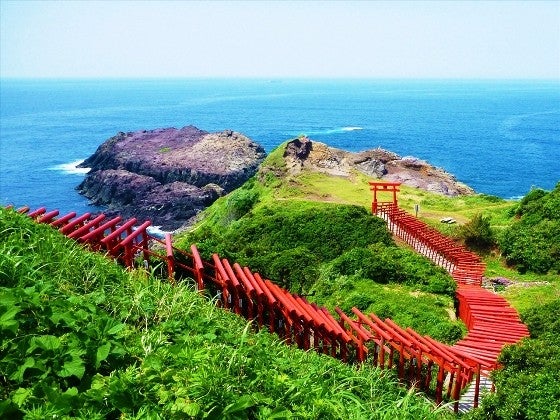 【バスハイク／博多発着】 添乗員同行 山口絶景の旅 日本最大級の鍾乳洞秋芳洞・元乃隅稲荷神社・角島大橋 ～海鮮瓦そば・カニのセイロ蒸し・サザエの壺煮を味わうランチ～1