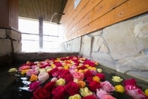 ２月までの出発【名古屋駅発】＊日帰り昼食付＊鳥羽湾のホテルで味わう海の幸『鳥羽 浦村かき食べ放題ＶＳ伊勢海老・あわび会席』3