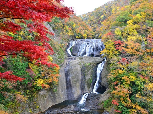 ■【茨城】茨城の紅葉名所を巡る！日本三大名瀑「袋田の滝」×汐見滝吊り橋がかかる「花貫渓谷」へ！2