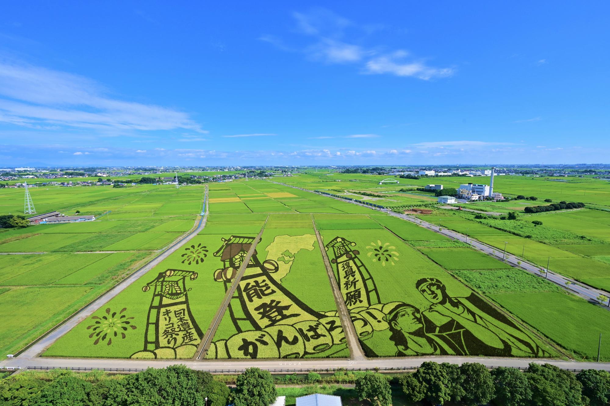【京成船橋発】埼玉 行田田んぼアート観賞ともも＆ぶどう狩りのW狩りツアー＜コースNo.26-1053-A＞（京成トラベル）1