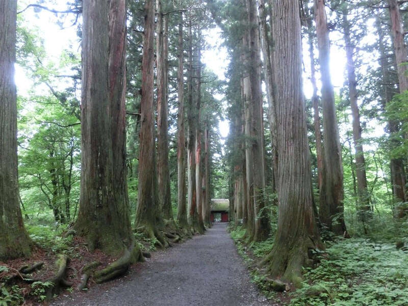 【大分空港発】 ≪神話めぐり≫五斗美湖先生が同行！ 山岳信仰の霊地「戸隠神社  五社」と「諏訪大社 四社」めぐり ３日間1