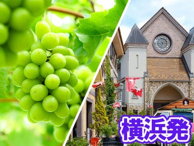 【横浜発】8,000円台～ぶっとび格安✨「シャインマスカット狩り💚＆黒ぶどう🍇のW食べ放題🔥」×「信玄餅詰め放題」×「ハイジの村でバイキング🍳」×「ワイン🍷飲み比べ放題」山梨グルメ旅🍴（ミニワインボトル付き♪）