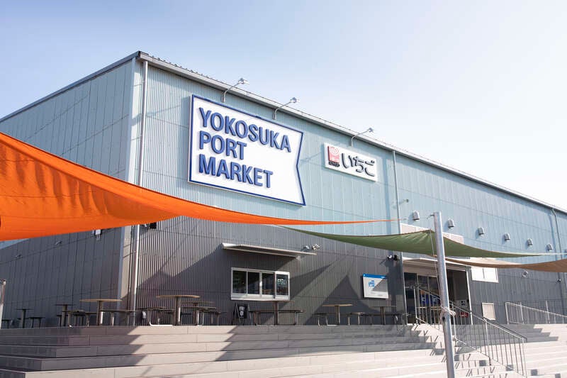 【千葉県内発】 約25万本のキバナコスモス咲く♪『ソレイユの丘』　三崎まぐろ入り！『8種海鮮丼』＆海の幸セットお持ち帰り♪2