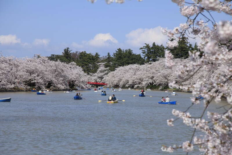 【秋田エリア発】 臨時特急弘前さくらまつり号で行く弘前公園と五能線リゾートしらかみ絶景の旅 日帰り2