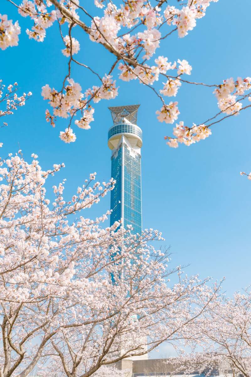 【富山県内発】 近場de春ミステリー20262