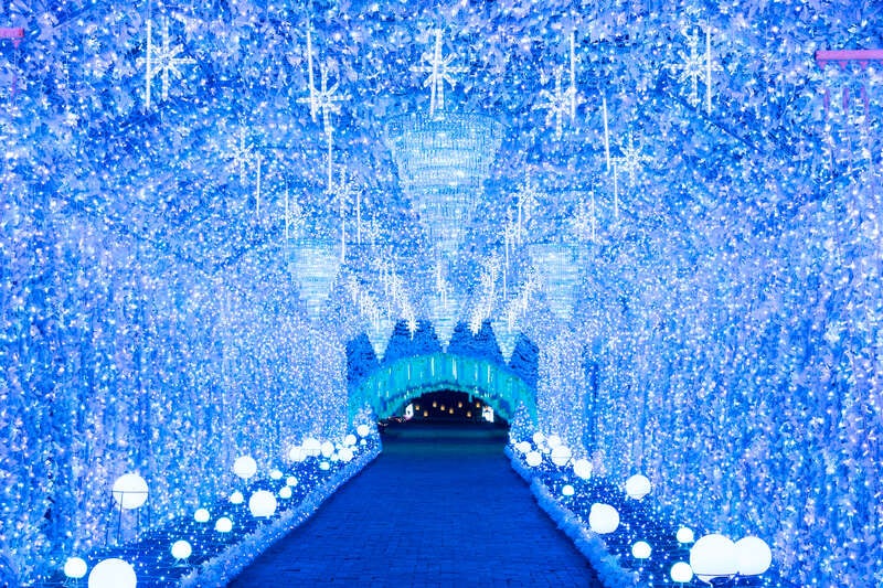 【東京都内発※町田を除く】 約60種和洋中ランチビュッフェ♪アルコール含むドリンク付き！『箱根ホテル小涌園』と箱根神社・時之栖イルミネーション1