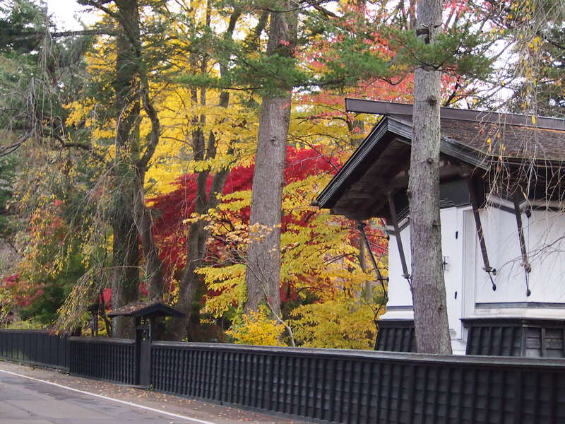 【札幌駅発】 【北海道内発着】 北海道新幹線利用！ 北東北紅葉のベストルート　十和田・八甲田・奥入瀬・田沢湖・角館と 八幡平アスピーテラインと男鹿半島３日間2