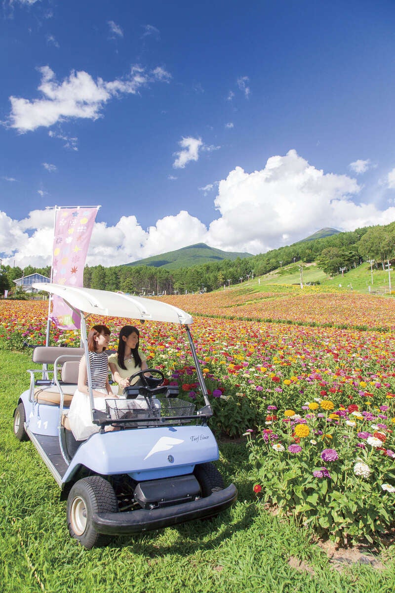 【佐賀県内・早岐／博多駅発】 駒ヶ岳ロープウェイと 車山・富士見高原ﾊﾟﾉﾗﾏ周遊3日間2