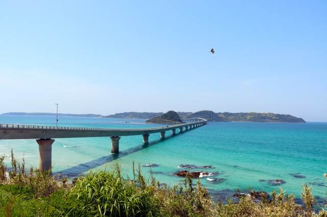 【日帰り／博多発着(新幹線利用)／添乗員同行】≪8/22(土)限定≫ タイムスリップ！蒸気機関車「SLやまぐち号」全区間乗車！新幹線「こだま号」乗車でラクラク ～ 山口いいとこどり～角島大橋・元乃隅神社・萩 ＆山陰の小京都 美しき津和野2