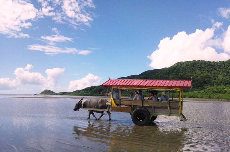【神戸空港発着】麗しの八重山諸島４島めぐり～石垣島・西表島・由布島・竹富島～３日間3
