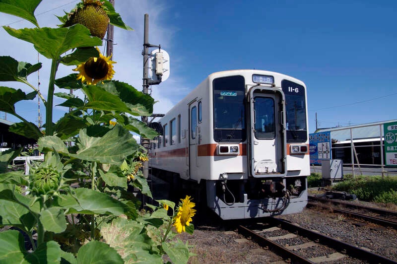【東京駅発】 《KoDoMoわんぱクラブ》～運転士＆車掌のお仕事体験～ひたちなか海浜鉄道車両工場見学ツアー＜Web限定申込＞2