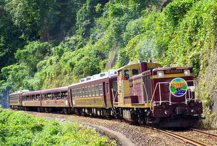 【茨城県内発】 春色のわたらせ渓谷鐡道 日帰り