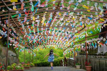 1ヵ月間の限定公開！筥崎宮あじさい苑・青苔むす呑山観音・風鈴の山王寺　旬の桜鯛づくし会席 　日帰り