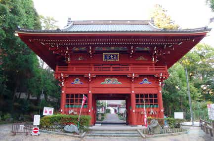 【茨城県内発】 60年に一度の火の馬年に行く!なんでも”馬”くいく!?波を彫らせては天下一!と言われた江戸時代の名工・波の伊八と春の九十九里ツアー 日帰り