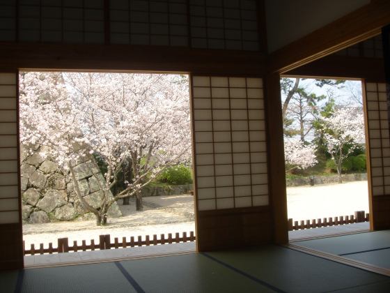 【バスハイク／添乗員同行／福岡(天神)発】 春うらら 桜彩る久留米百年公園と佐賀城跡 白玉ミニパフェでほっと一息 ☆いちご１パックお土産付き☆1