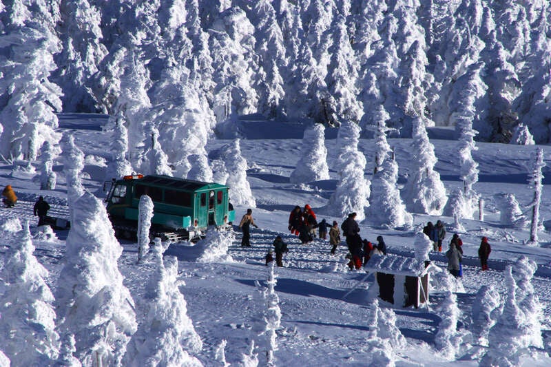 【伊丹空港発着】 2大絶景遊覧で巡るまっ白な感動！「蔵王ロープウェイ」と「ワイルドモンスター号」から見る蔵王の樹氷　3日間2