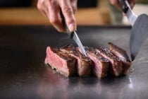 【金山駅南口発】＊日帰り夕食付＊『名店「潜龍」の美食と、高級観覧船で 愉しむ「ぎふ長良川の鵜飼」』2
