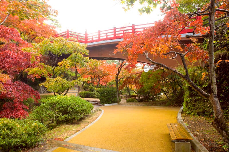 【福島県内発】 世界遺産清水寺と醍醐の紅葉狩り・ 京都大原三千院＆越後紅葉名所めぐり　3日間2