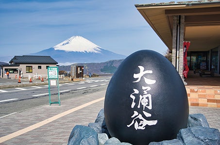 【往復JR/新大阪駅発着】15の味覚と3つの感動遊覧でめぐる 富士・箱根・伊豆 大人のイマタビ 3日間　2泊とも当社基準最上級Sランクホテル露天風呂付客室と5つ星の宿プラチナに泊まる3