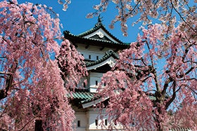 伊丹空港集合
№1817 みちのく三大桜名所と日本海や白神山地の絶景を望むリゾートしらかみ3