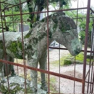【光・下松・徳山発】新北(にきた)神社・巨大恵比寿門と櫛田宮・神馬の石馬　日帰り2