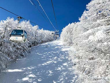 ●朝発日帰り【入笠山スノートレッキング】（富士見パノラマリゾート）町田発着Aタイム【滞在約7時間】