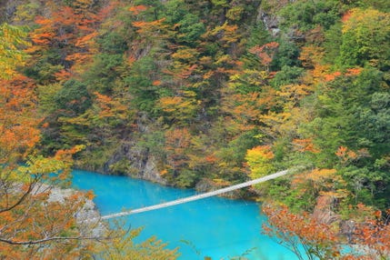 【静岡県内発】 大型バスでは行けない紅葉の秘境!寸又峡と日本で唯一!大井川鉄道アプト式トロッコ列車