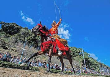 椅子観覧席から見る武雄の流鏑馬奉納と佐賀牛vs伊万里牛約100g食べ比べ