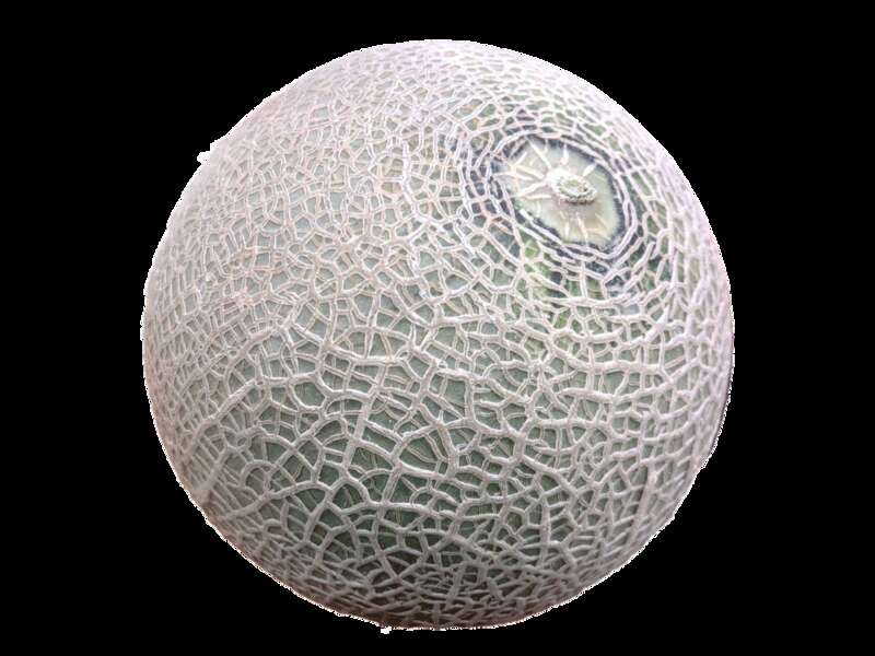 【福井メイン/南行ルート発】 母の日ミステリー3