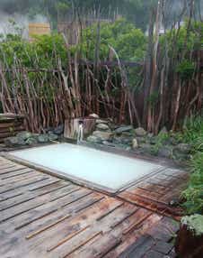 【東京駅・上野駅・大宮駅発】 福島県・新野地温泉 相模屋旅館2日間 『コダワリ温泉』